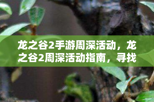 龙之谷2手游周深活动，龙之谷2周深活动指南，寻找活动地点