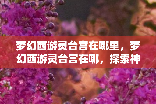 梦幻西游灵台宫在哪里，梦幻西游灵台宫在哪，探索神秘仙境的指南