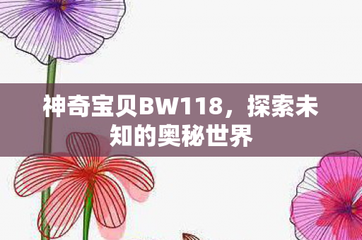 神奇宝贝BW118，探索未知的奥秘世界