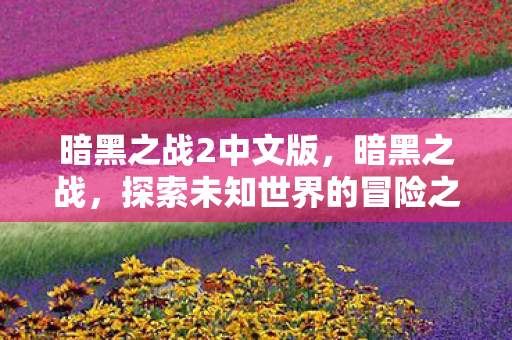 暗黑之战2中文版，暗黑之战，探索未知世界的冒险之旅