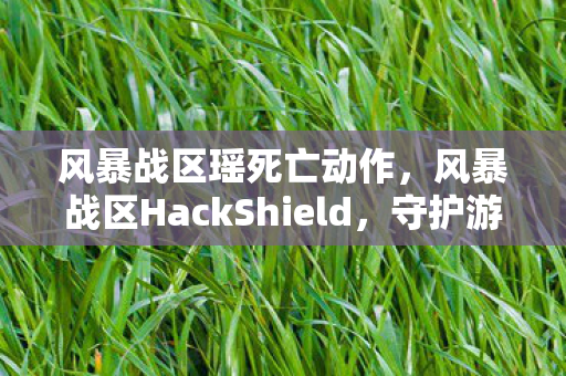 风暴战区瑶死亡动作，风暴战区HackShield，守护游戏安全的坚固盾牌