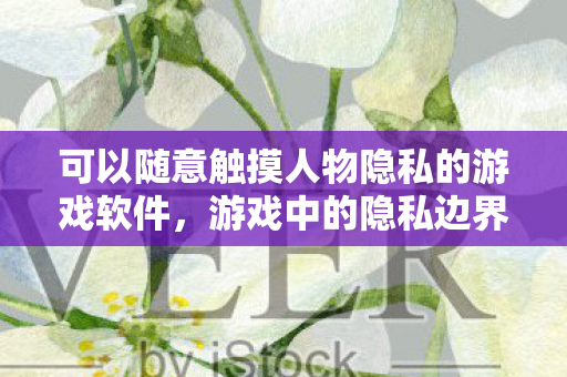 可以随意触摸人物隐私的游戏软件，游戏中的隐私边界，探索虚拟世界的伦理挑战