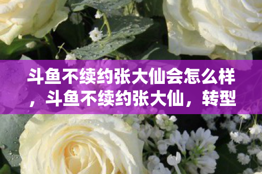 斗鱼不续约张大仙会怎么样，斗鱼不续约张大仙，转型之路与未来展望