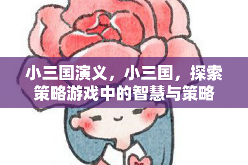 小三国演义，小三国，探索策略游戏中的智慧与策略