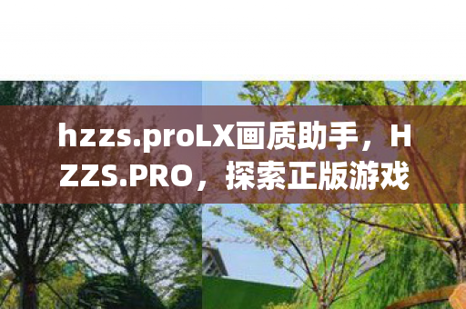 hzzs.proLX画质助手,HZZS.PRO,探索正版游戏体验的无限可能 hzzs.proLX画质助手,HZZS.PRO,探索正版游戏体验的无限可能