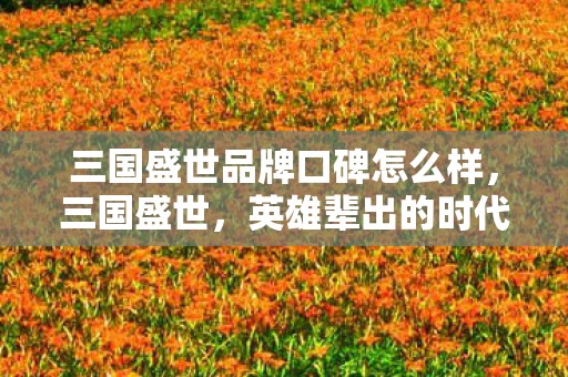 三国盛世品牌口碑怎么样，三国盛世，英雄辈出的时代与不朽传奇