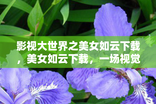 影视大世界之美女如云下载，美女如云下载，一场视觉盛宴的邂逅
