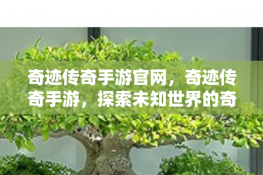 奇迹传奇手游官网,奇迹传奇手游,探索未知世界的奇幻之旅 奇迹传奇手游官网,奇迹传奇手游,探索未知世界的奇幻之旅