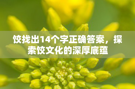饺找出14个字正确答案，探索饺文化的深厚底蕴