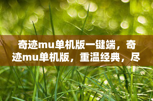 奇迹mu单机版一键端，奇迹mu单机版，重温经典，尽享无限可能