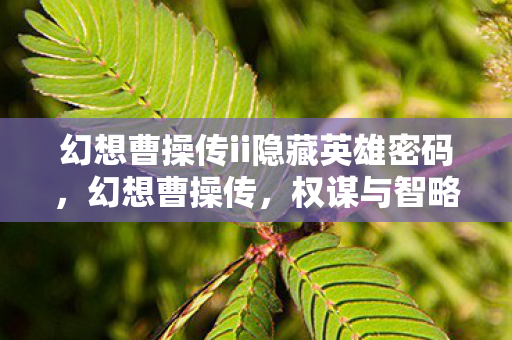 幻想曹操传ii隐藏英雄密码，幻想曹操传，权谋与智略的时空之旅