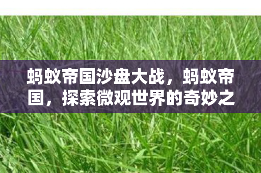 蚂蚁帝国沙盘大战，蚂蚁帝国，探索微观世界的奇妙之旅