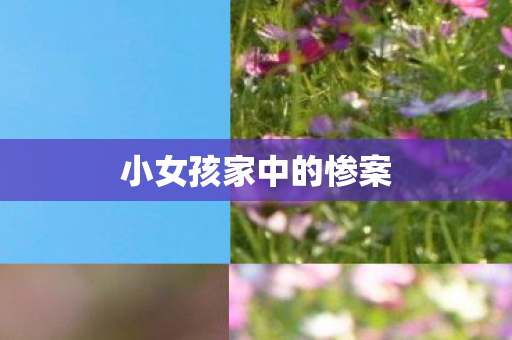 小女孩家中的惨案