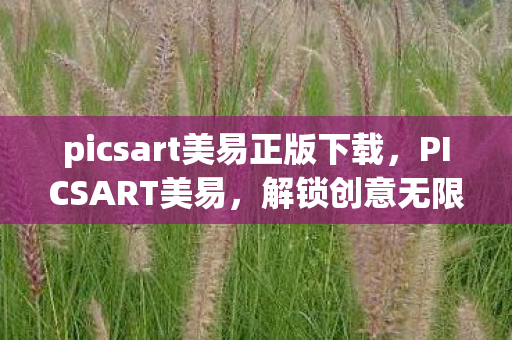 picsart美易正版下载,PICSART美易,解锁创意无限的图片编辑神器 picsart美易正版下载,PICSART美易,解锁创意无限的图片编辑神器