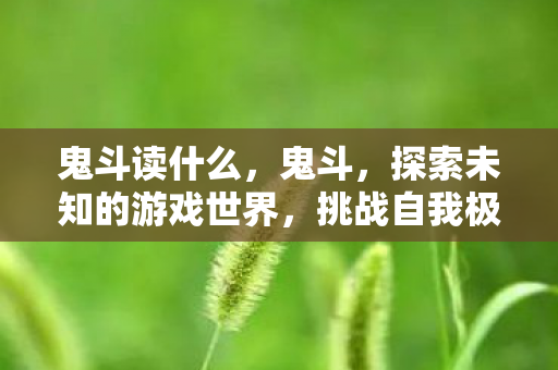 鬼斗读什么，鬼斗，探索未知的游戏世界，挑战自我极限