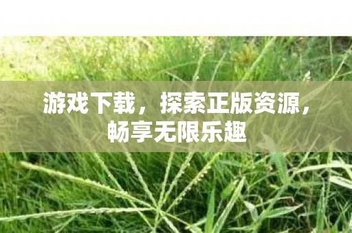 游戏下载,探索正版资源,畅享无限乐趣 游戏下载,探索正版资源,畅享无限乐趣