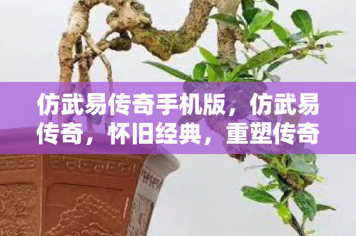 仿武易传奇手机版，仿武易传奇，怀旧经典，重塑传奇