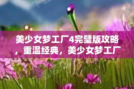 美少女梦工厂4完璧版攻略，重温经典，美少女梦工厂4完璧版，唤醒你的少女心