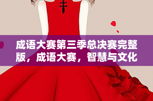 成语大赛第三季总决赛完整版，成语大赛，智慧与文化的碰撞