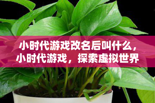 小时代游戏改名后叫什么,小时代游戏,探索虚拟世界的无限可能 小时代游戏改名后叫什么,小时代游戏,探索虚拟世界的无限可能