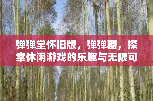 弹弹堂怀旧版，弹弹糖，探索休闲游戏的乐趣与无限可能