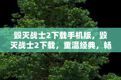 毁灭战士2下载手机版,毁灭战士2下载,重温经典,畅享游戏盛宴 毁灭战士2下载手机版,毁灭战士2下载,重温经典,畅享游戏盛宴