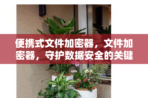 便携式文件加密器，文件加密器，守护数据安全的关键工具