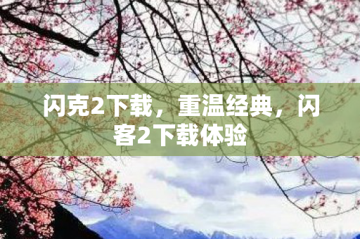 闪克2下载，重温经典，闪客2下载体验