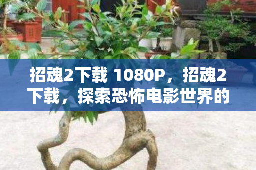 招魂2下载 1080P,招魂2下载,探索恐怖电影世界的便捷途径 招魂2下载 1080P,招魂2下载,探索恐怖电影世界的便捷途径