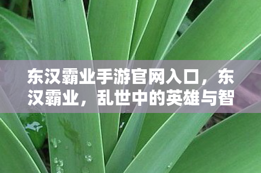 东汉霸业手游官网入口，东汉霸业，乱世中的英雄与智谋