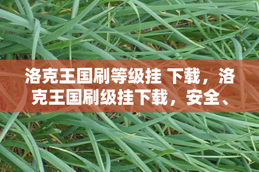 洛克王国刷等级挂 下载，洛克王国刷级挂下载，安全、高效的游戏辅助工具