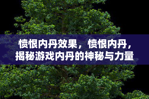愤恨内丹效果，愤恨内丹，揭秘游戏内丹的神秘与力量