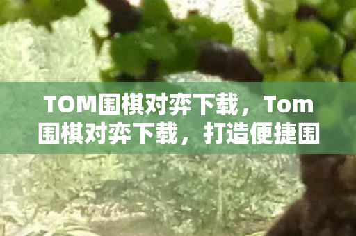 TOM围棋对弈下载,Tom围棋对弈下载,打造便捷围棋对战新体验 TOM围棋对弈下载,Tom围棋对弈下载,打造便捷围棋对战新体验