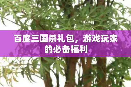 百度三国杀礼包，游戏玩家的必备福利