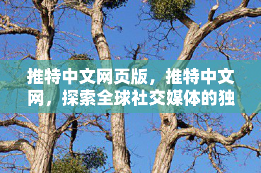 推特中文网页版，推特中文网，探索全球社交媒体的独特魅力