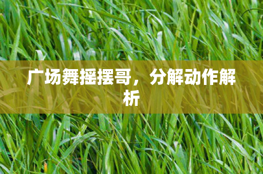 广场舞摇摆哥，分解动作解析
