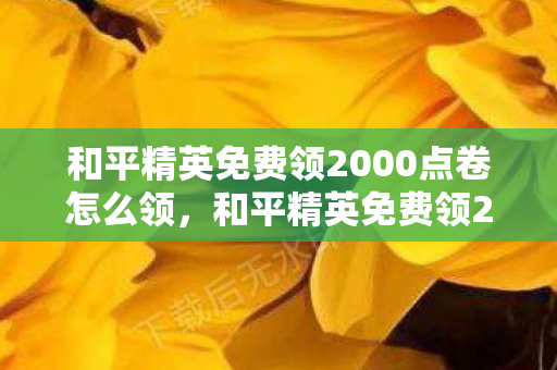 和平精英免费领2000点卷怎么领，和平精英免费领2000点卷，官方活动大揭秘与攻略分享