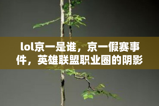 lol京一是谁,京一假赛事件,英雄联盟职业圈的阴影 lol京一是谁,京一假赛事件,英雄联盟职业圈的阴影