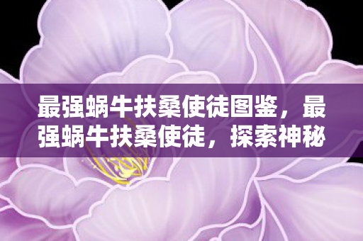 最强蜗牛扶桑使徒图鉴，最强蜗牛扶桑使徒，探索神秘扶桑的奇幻之旅