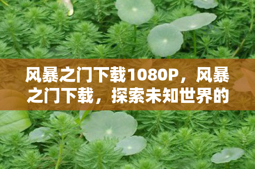 风暴之门下载1080P，风暴之门下载，探索未知世界的神秘门户