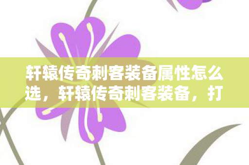 轩辕传奇刺客装备属性怎么选，轩辕传奇刺客装备，打造顶级战斗力的关键