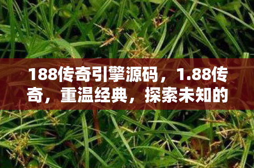 188传奇引擎源码，1.88传奇，重温经典，探索未知的游戏世界