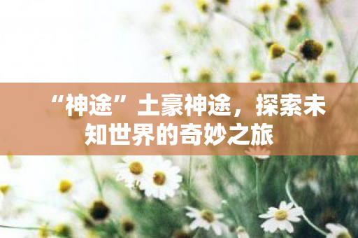 “神途”土豪神途，探索未知世界的奇妙之旅