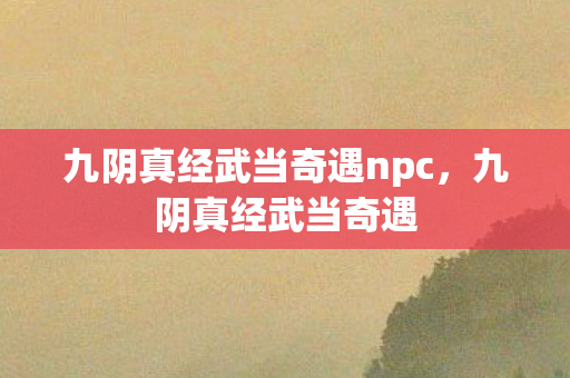 九阴真经武当奇遇npc，九阴真经武当奇遇