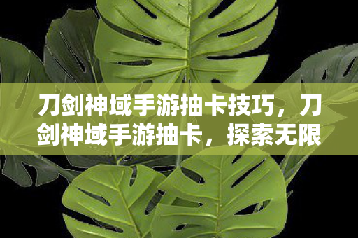 刀剑神域手游抽卡技巧，刀剑神域手游抽卡，探索无限可能的冒险之旅
