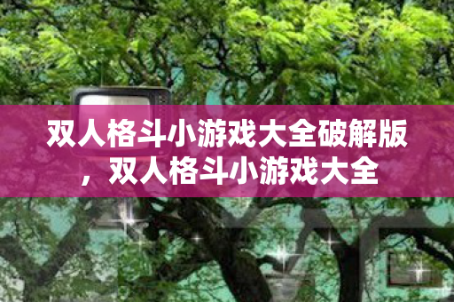 双人格斗小游戏大全破解版，双人格斗小游戏大全
