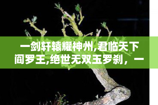 一剑轩辕耀神州,君临天下阎罗王,绝世无双玉罗刹,一剑轩辕,探索游戏世界的无限可能 一剑轩辕耀神州,君临天下阎罗王,绝世无双玉罗刹,一剑轩辕,探索游戏世界的无限可能