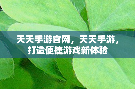 天天手游官网，天天手游，打造便捷游戏新体验