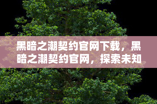 黑暗之潮契约官网下载，黑暗之潮契约官网，探索未知世界的奇幻之旅