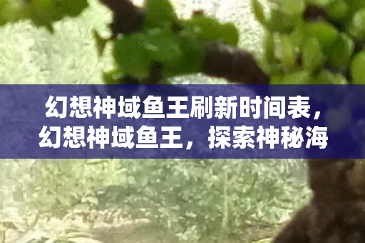 幻想神域鱼王刷新时间表，幻想神域鱼王，探索神秘海域的传奇之旅